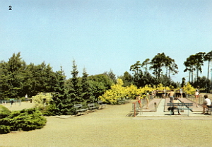 Senftenberg